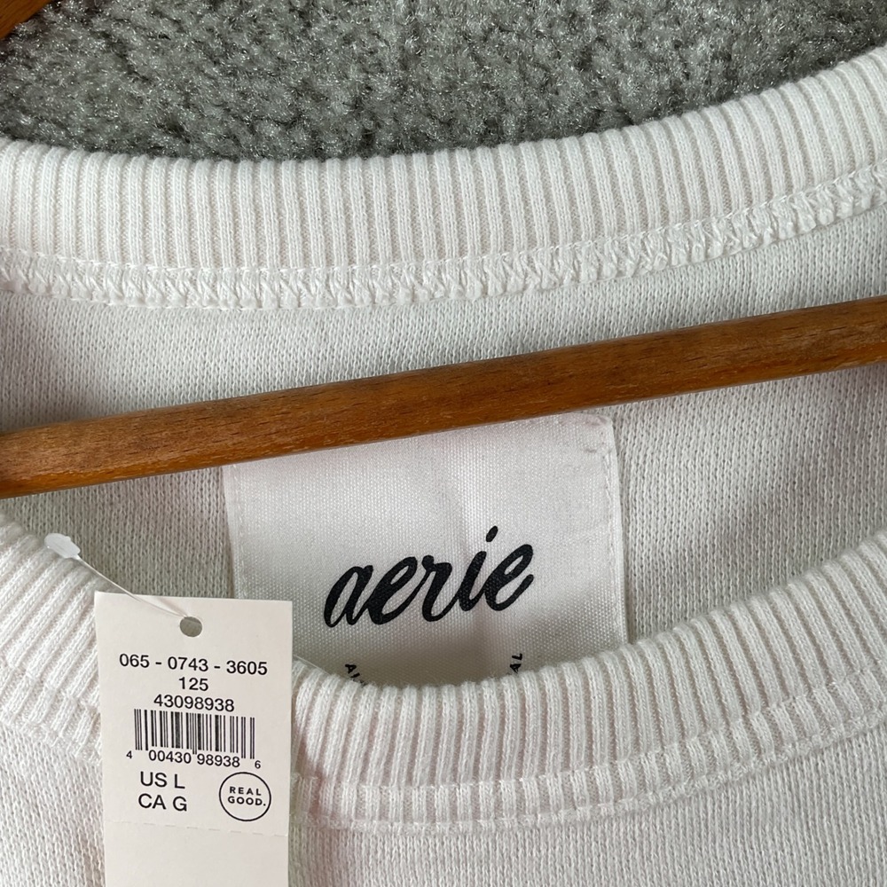 NEW Aerie Mickey Mouse Halloween Sweatshirt Womens L Cream Bat Graphic Oversized - Picture 4 of 6